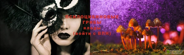 jwh Ростов