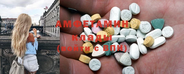 МДПВ Рославль