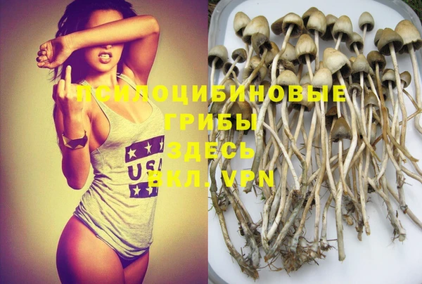 спайс Абинск