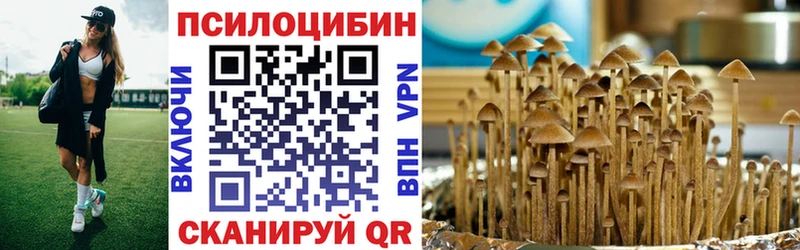 Галлюциногенные грибы Psilocybine cubensis  Яблоновский 